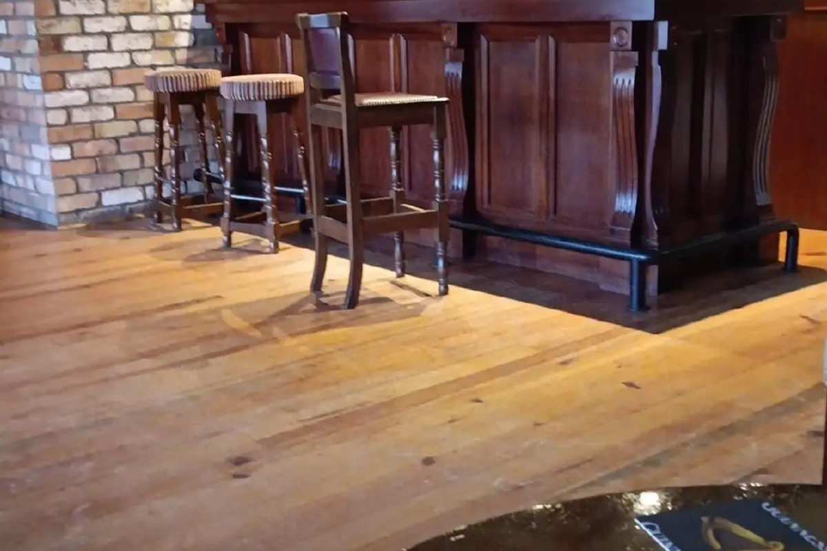 McNulty's bar counter with beer taps, bar stools, and Paddy whiskey sign on the brick wall